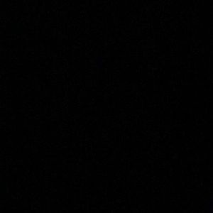 Meet your Posher, Nyla